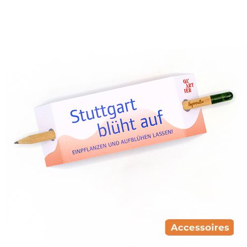 Sprout Samenbleistift - Bild 4